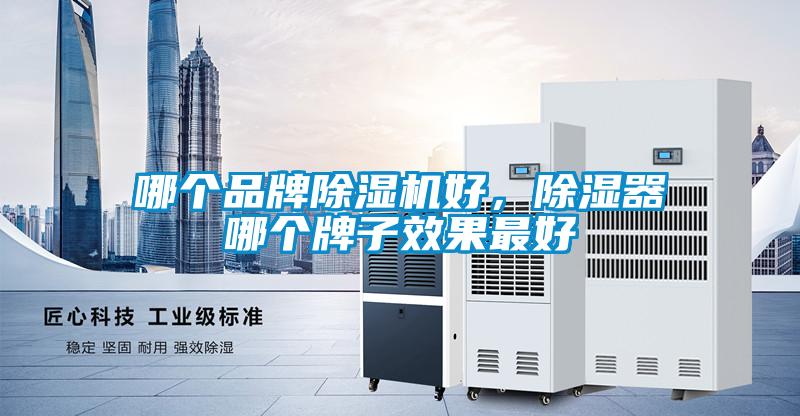 哪個品牌除濕機好，除濕器哪個牌子效果最好