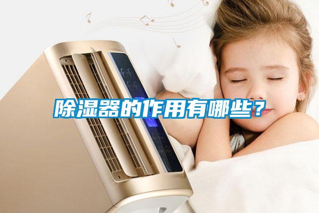 除濕器的作用有哪些？