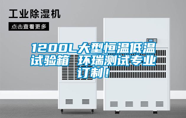 1200L大型恒溫低溫試驗(yàn)箱 環(huán)瑞測(cè)試專業(yè)訂制！