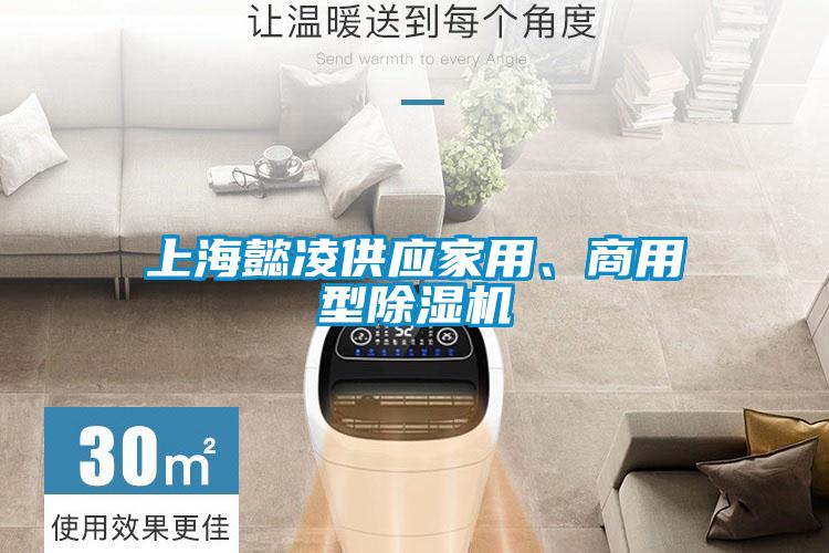 上海懿凌供應家用、商用型除濕機