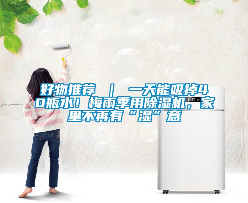 好物推薦 ｜ 一天能吸掉40瓶水！梅雨季用除濕機(jī)，家里不再有“濕”意