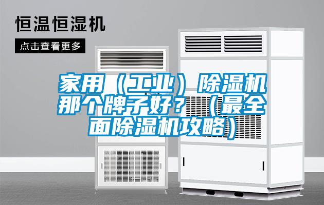 家用（工業(yè)）除濕機(jī)那個牌子好？（最全面除濕機(jī)攻略）