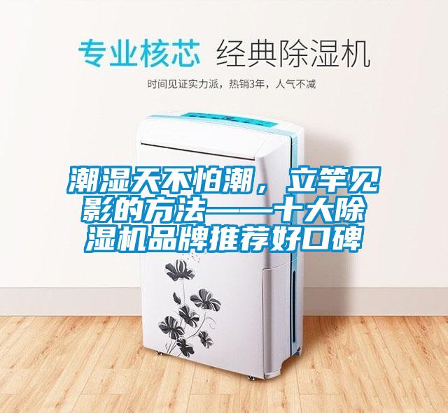 潮濕天不怕潮，立竿見影的方法——十大除濕機品牌推薦好口碑