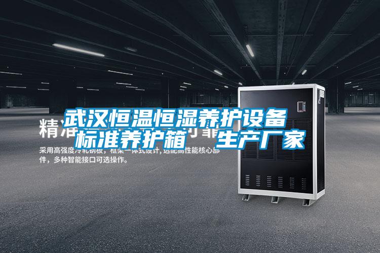 武漢恒溫恒濕養(yǎng)護設備  標準養(yǎng)護箱  生產(chǎn)廠家