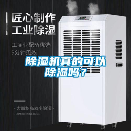 除濕機(jī)真的可以除濕嗎？