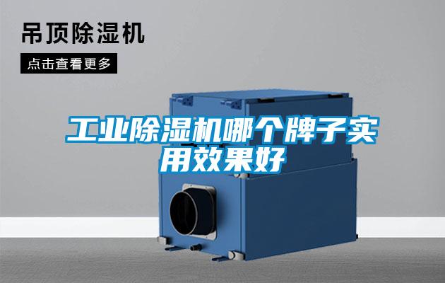 工業(yè)除濕機(jī)哪個牌子實(shí)用效果好