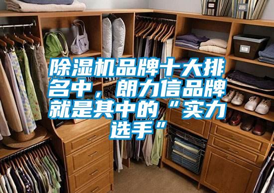 除濕機(jī)品牌十大排名中，朗力信品牌就是其中的“實(shí)力選手”