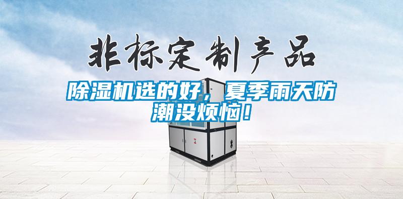 除濕機選的好，夏季雨天防潮沒煩惱！