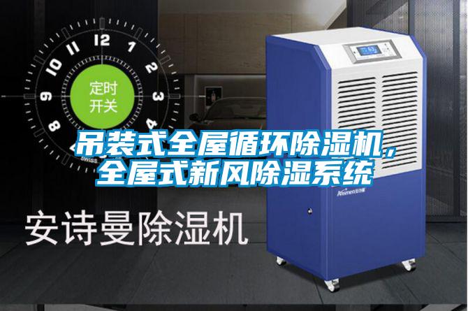 吊裝式全屋循環(huán)除濕機，全屋式新風除濕系統(tǒng)