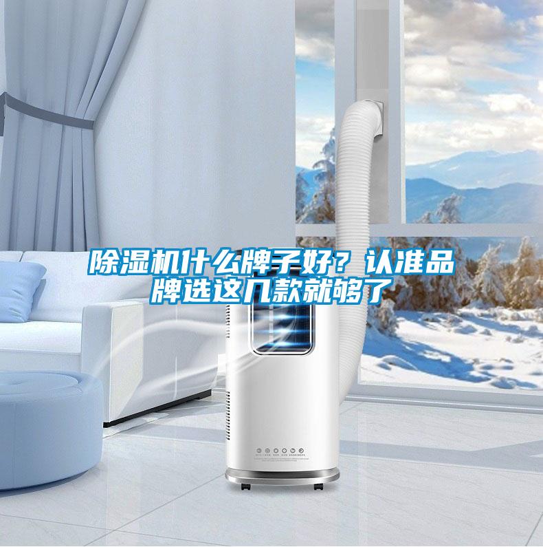 除濕機(jī)什么牌子好？認(rèn)準(zhǔn)品牌選這幾款就夠了