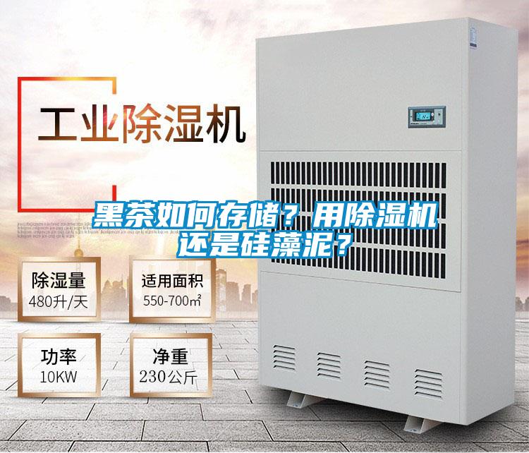 黑茶如何存儲(chǔ)？用除濕機(jī)還是硅藻泥？
