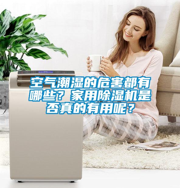 空氣潮濕的危害都有哪些？家用除濕機是否真的有用呢？