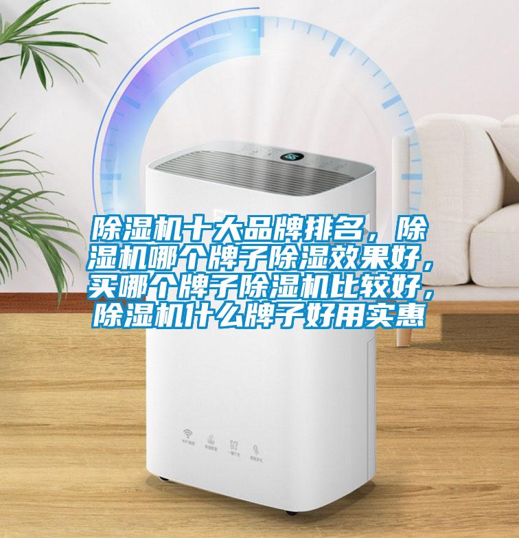 除濕機(jī)十大品牌排名，除濕機(jī)哪個(gè)牌子除濕效果好，買哪個(gè)牌子除濕機(jī)比較好，除濕機(jī)什么牌子好用實(shí)惠