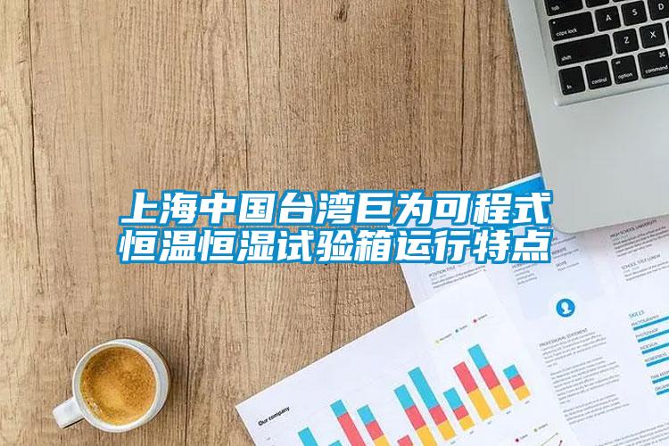 上海中國臺灣巨為可程式恒溫恒濕試驗(yàn)箱運(yùn)行特點(diǎn)