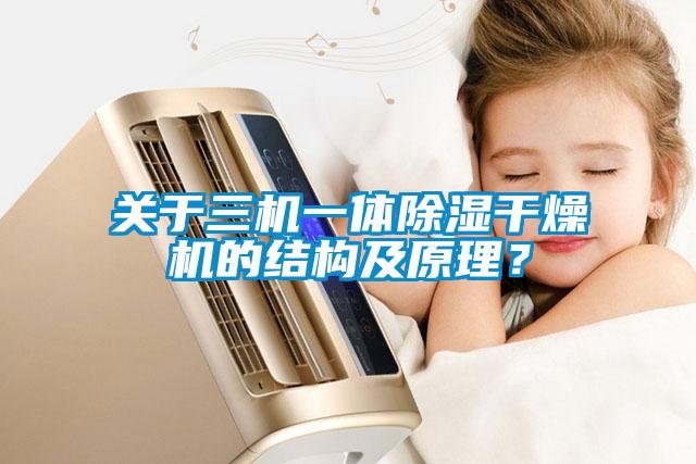 關(guān)于三機(jī)一體除濕干燥機(jī)的結(jié)構(gòu)及原理？