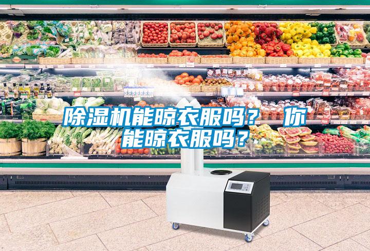 除濕機(jī)能晾衣服嗎？ 你能晾衣服嗎？