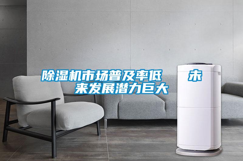 除濕機(jī)市場普及率低   未來發(fā)展?jié)摿薮?/></p>
						    <p style=
