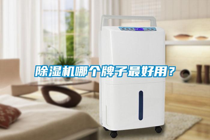 除濕機(jī)哪個牌子最好用？