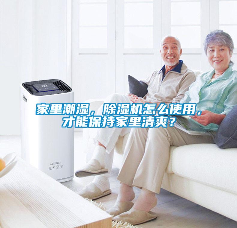 家里潮濕，除濕機怎么使用，才能保持家里清爽？