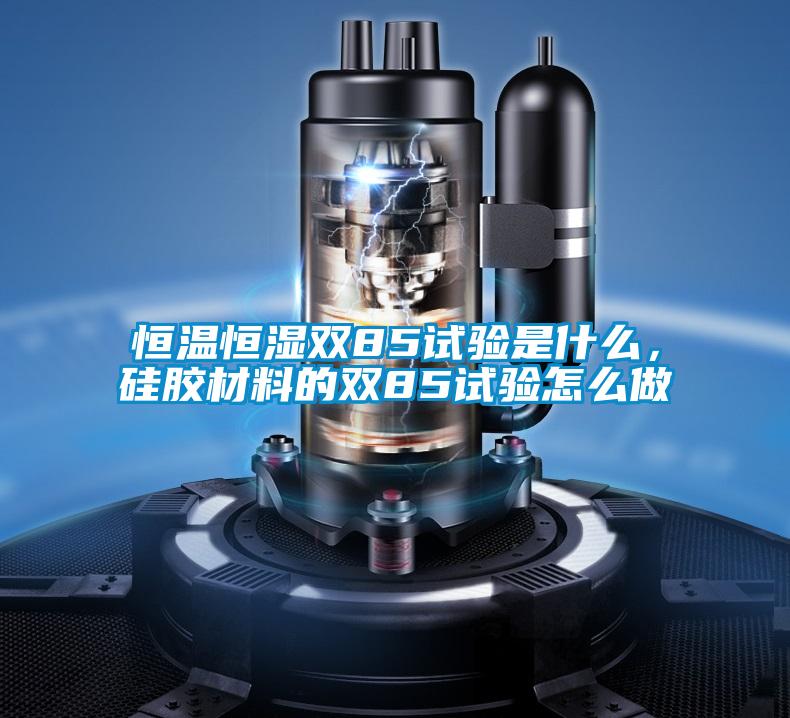恒溫恒濕雙85試驗是什么，硅膠材料的雙85試驗怎么做
