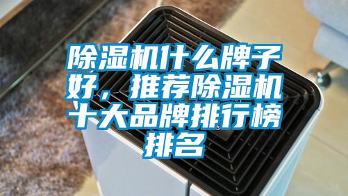 除濕機(jī)什么牌子好，推薦除濕機(jī)十大品牌排行榜排名