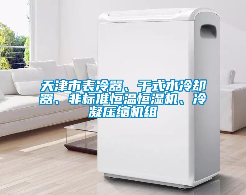 天津市表冷器、干式水冷卻器、非標(biāo)準(zhǔn)恒溫恒濕機(jī)、冷凝壓縮機(jī)組