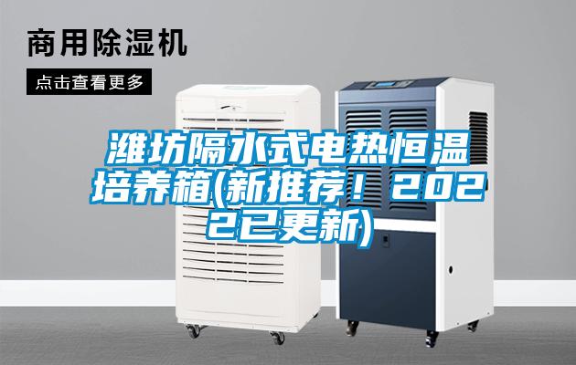 濰坊隔水式電熱恒溫培養(yǎng)箱(新推薦！2022已更新)