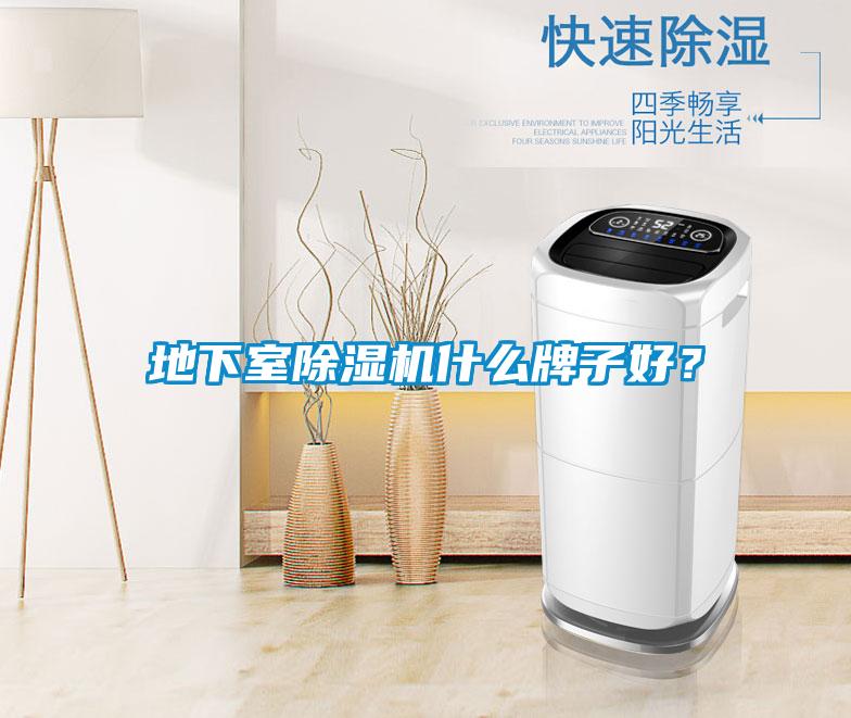 地下室除濕機什么牌子好？