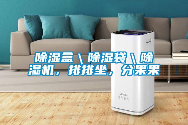 除濕盒＼除濕袋＼除濕機，排排坐，分果果