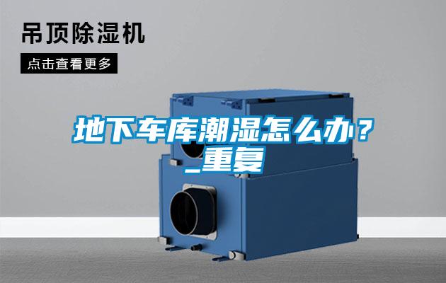 地下車庫潮濕怎么辦？_重復