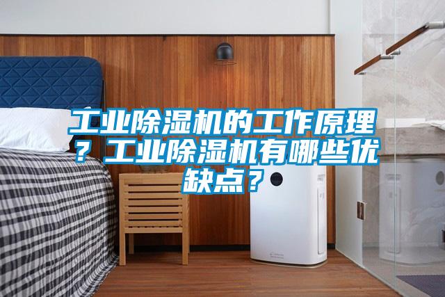 工業(yè)除濕機的工作原理？工業(yè)除濕機有哪些優(yōu)缺點？