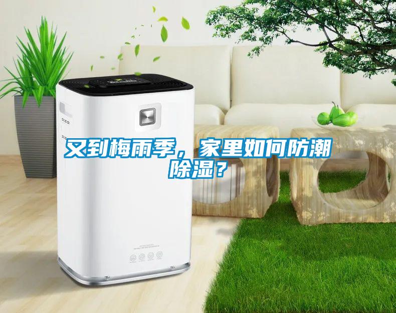 又到梅雨季，家里如何防潮除濕？