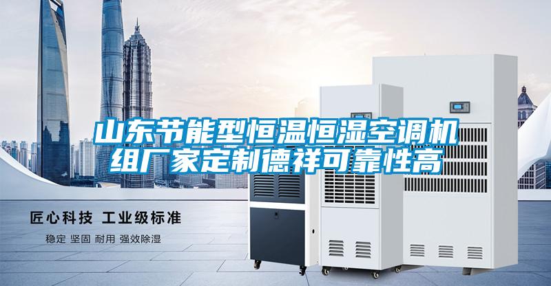 山東節(jié)能型恒溫恒濕空調(diào)機(jī)組廠(chǎng)家定制德祥可靠性高
