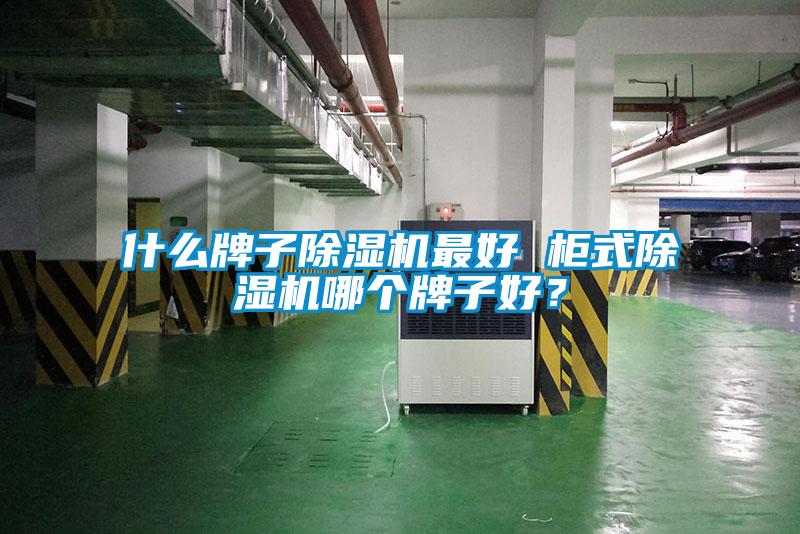 什么牌子除濕機最好 柜式除濕機哪個牌子好？