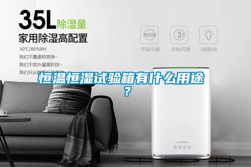 恒溫恒濕試驗(yàn)箱有什么用途 ？