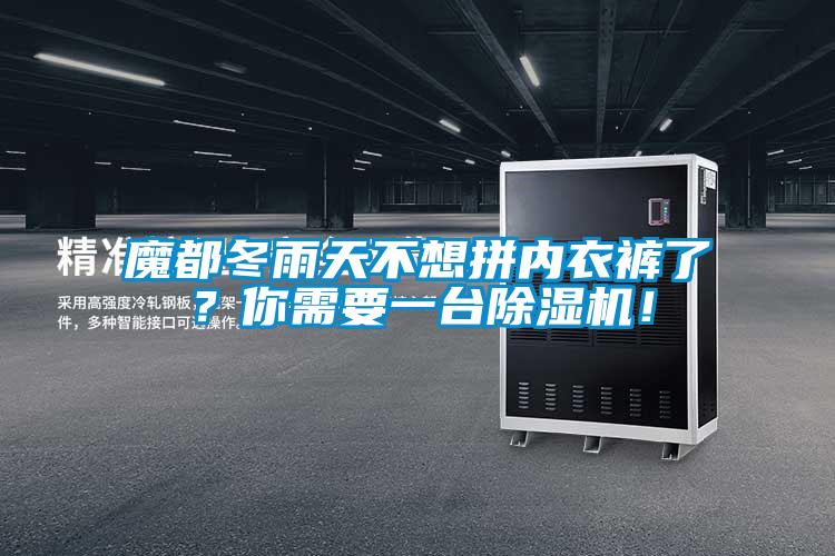 魔都冬雨天不想拼內(nèi)衣褲了？你需要一臺除濕機！
