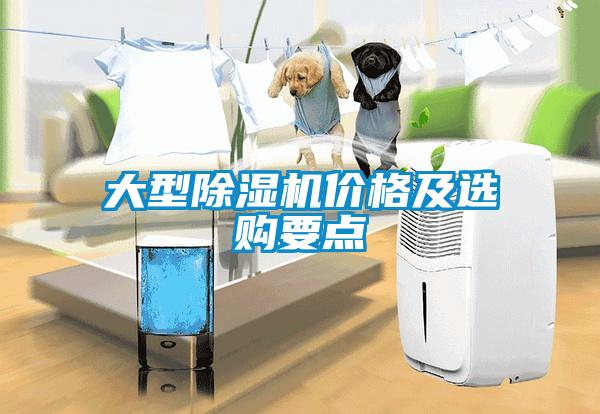 大型除濕機(jī)價(jià)格及選購要點(diǎn)
