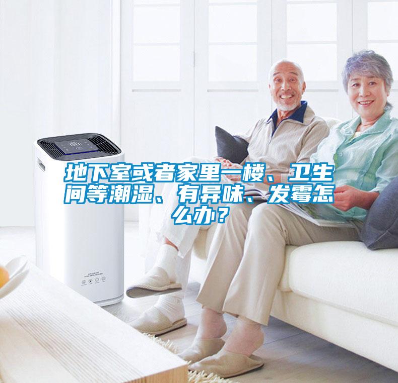 地下室或者家里一樓、衛(wèi)生間等潮濕、有異味、發(fā)霉怎么辦？