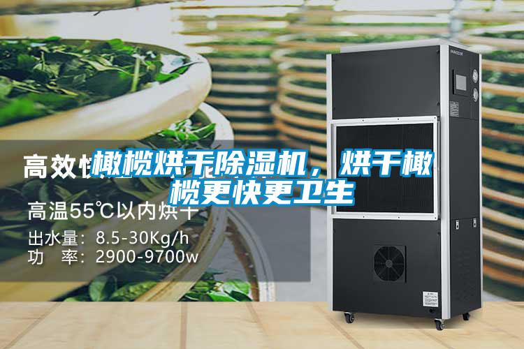 橄欖烘干除濕機，烘干橄欖更快更衛(wèi)生