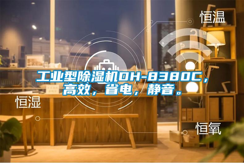 工業(yè)型除濕機DH-8380C，高效，省電，靜音。