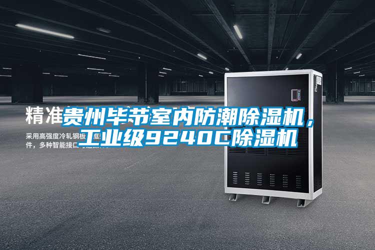 貴州畢節(jié)室內(nèi)防潮除濕機，工業(yè)級9240C除濕機