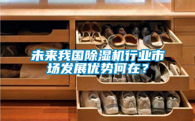 未來(lái)我國(guó)除濕機(jī)行業(yè)市場(chǎng)發(fā)展優(yōu)勢(shì)何在？