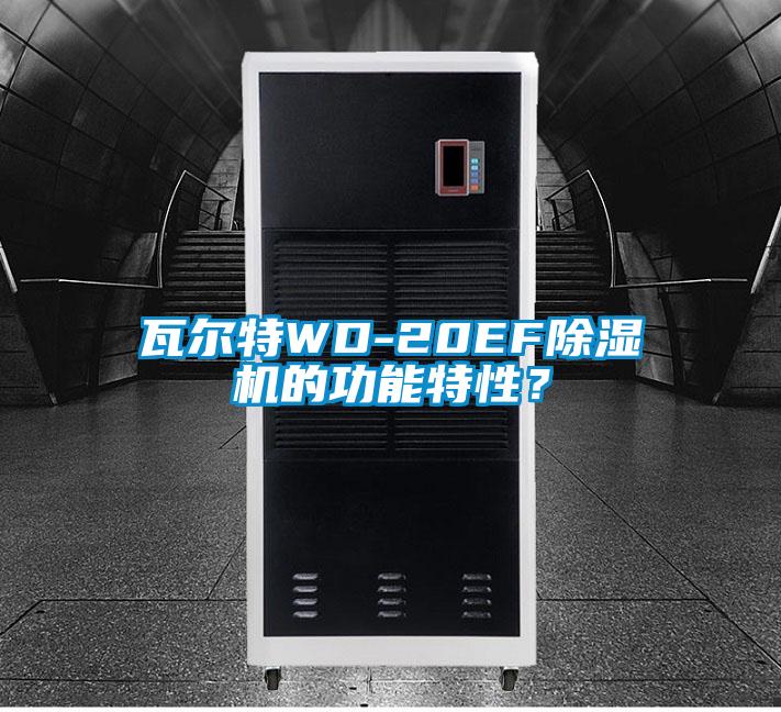 瓦爾特WD-20EF除濕機的功能特性？