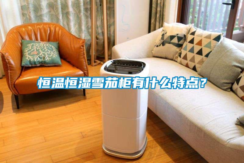 恒溫恒濕雪茄柜有什么特點(diǎn)？