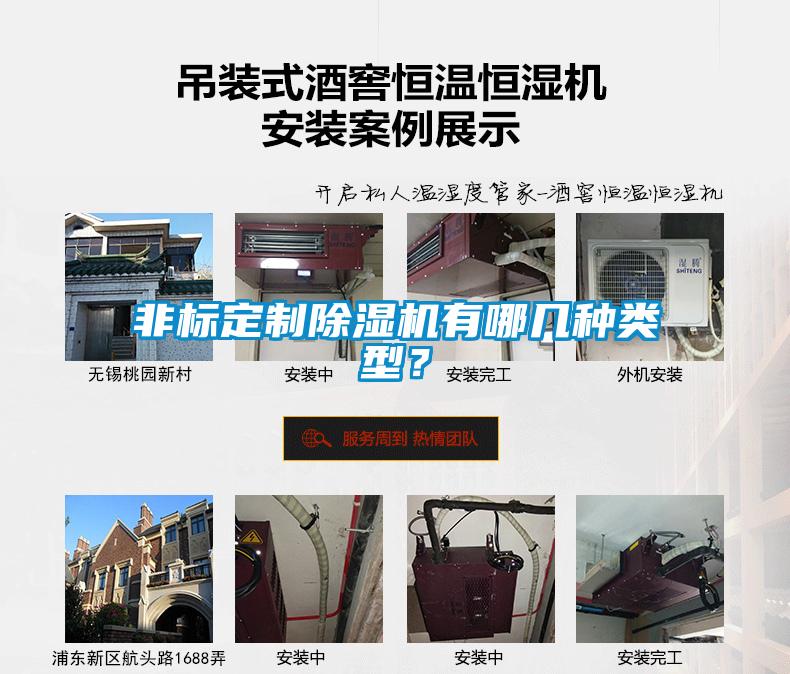 非標定制除濕機有哪幾種類型？