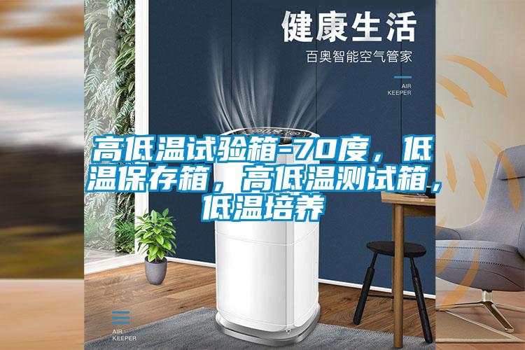 高低溫試驗(yàn)箱-70度，低溫保存箱，高低溫測試箱，低溫培養(yǎng)