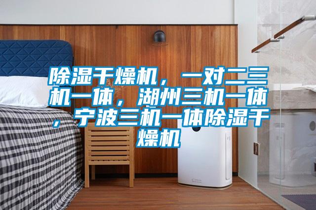除濕干燥機(jī)，一對(duì)二三機(jī)一體，湖州三機(jī)一體，寧波三機(jī)一體除濕干燥機(jī)