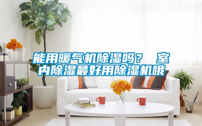 能用暖氣機除濕嗎？ 室內(nèi)除濕最好用除濕機哦