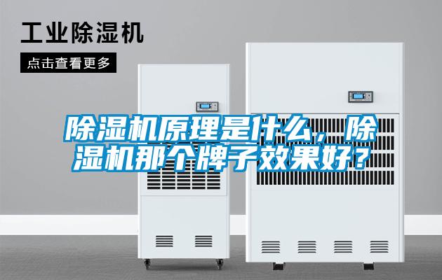 除濕機(jī)原理是什么，除濕機(jī)那個(gè)牌子效果好？