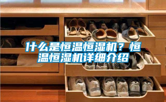什么是恒溫恒濕機(jī)？恒溫恒濕機(jī)詳細(xì)介紹